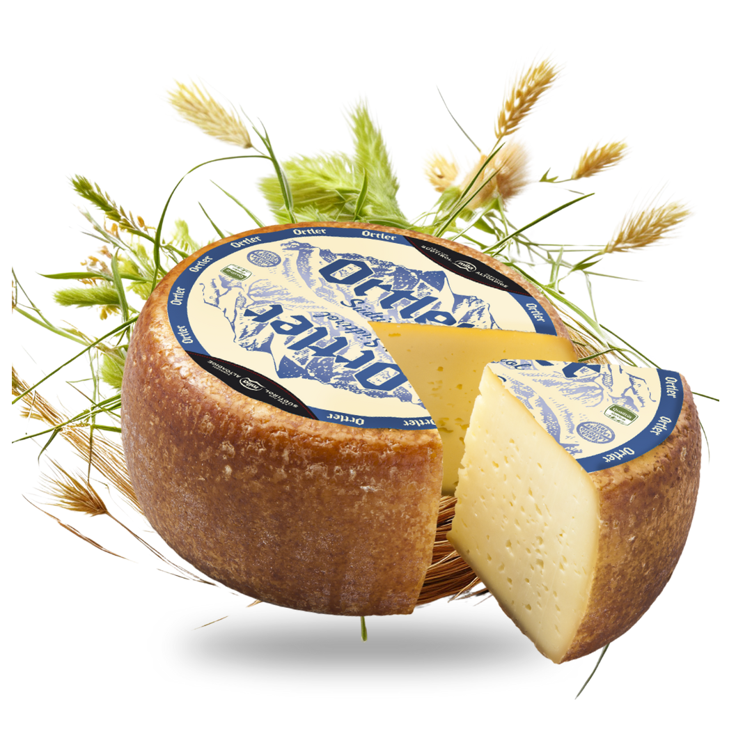 "Ortler" Schnittkäse aus Bozen | 35 % F. i. T. - Tiroler Bauernstandl