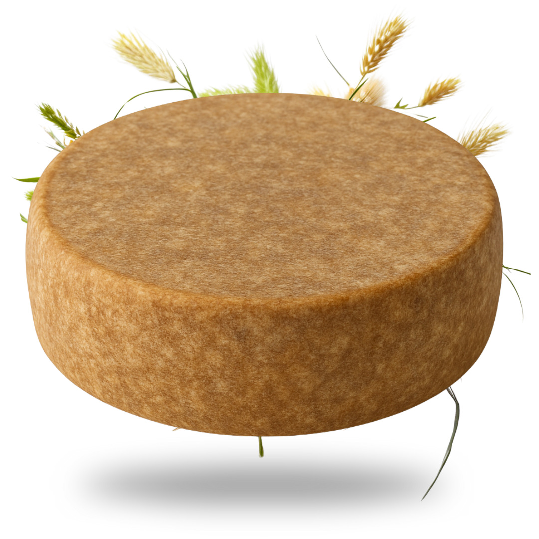 Tiroler Bergkäse g.U. 12 Monate gereift 45% Fett i. Tr. - Tiroler Bauernstandl