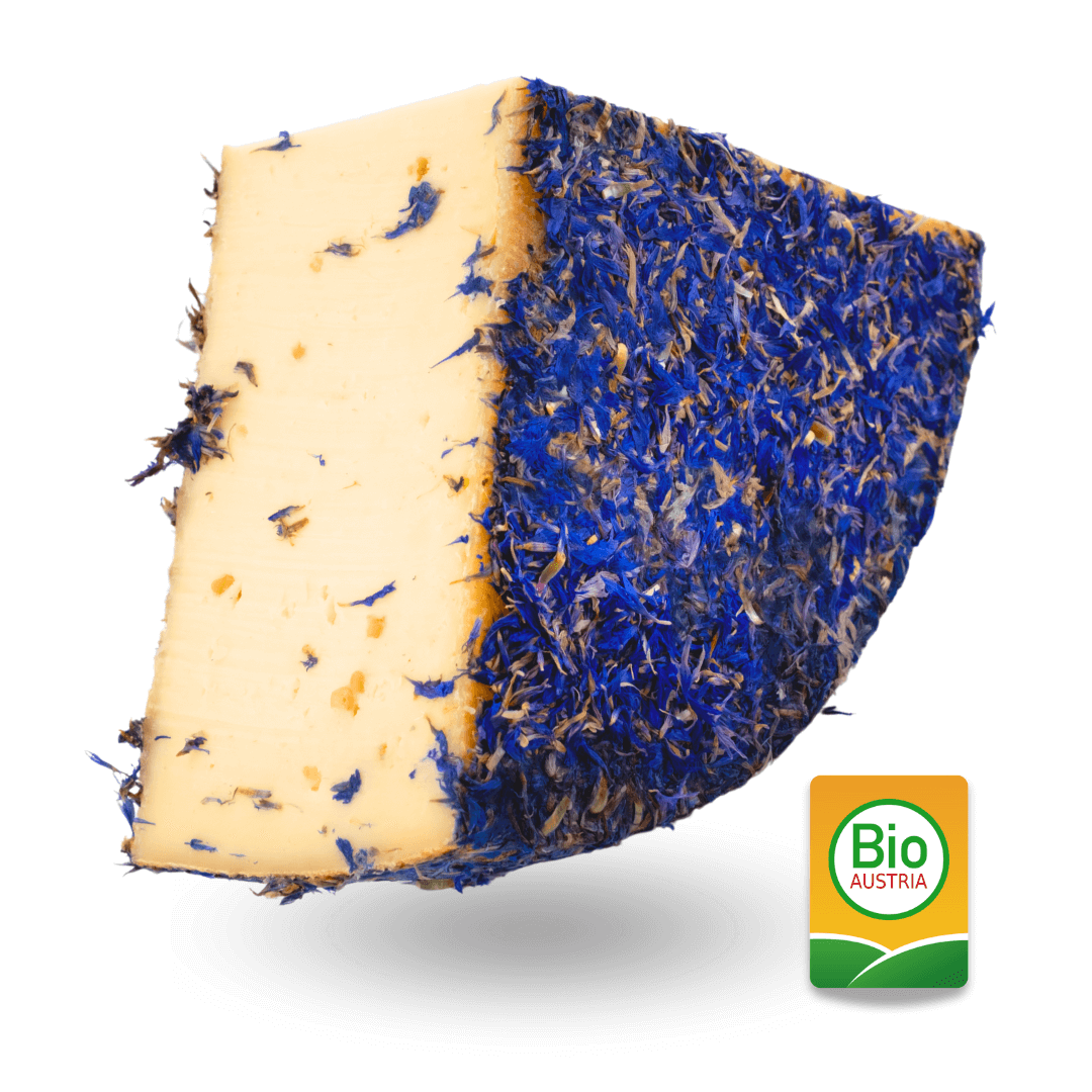 Bio_Kornblumen_kaese_am_Stueck_mit_Bockshornkleesamen_