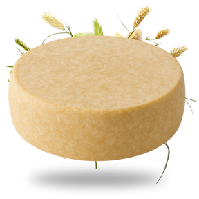 Tiroler Bergkäse g.U. 6 Monate gereift 45% Fett i. Tr. - Tiroler Bauernstandl