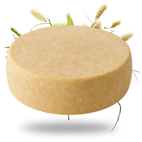 Tiroler Bergkäse g.U. 6 Monate gereift 45% Fett i. Tr. - Tiroler Bauernstandl